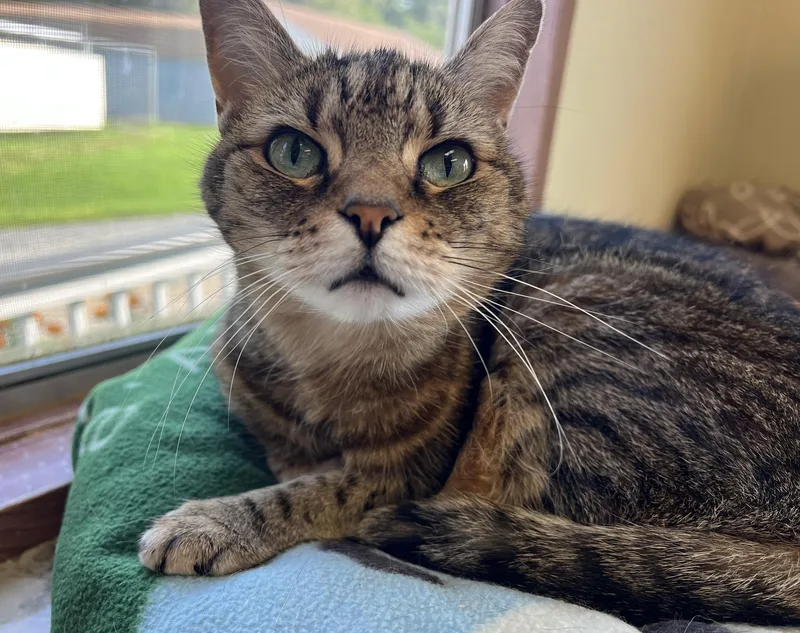 Ms Lucky thumbnail 2