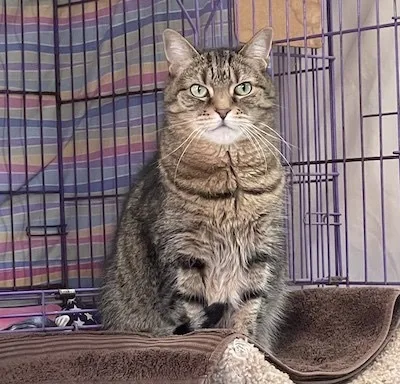 Ms Lucky thumbnail 3