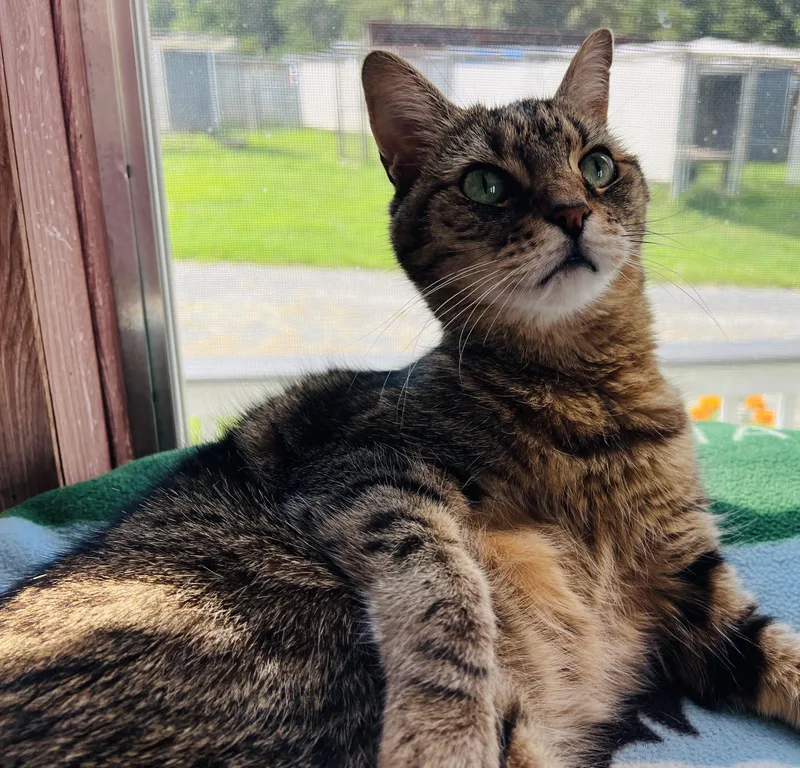 Ms Lucky thumbnail 5