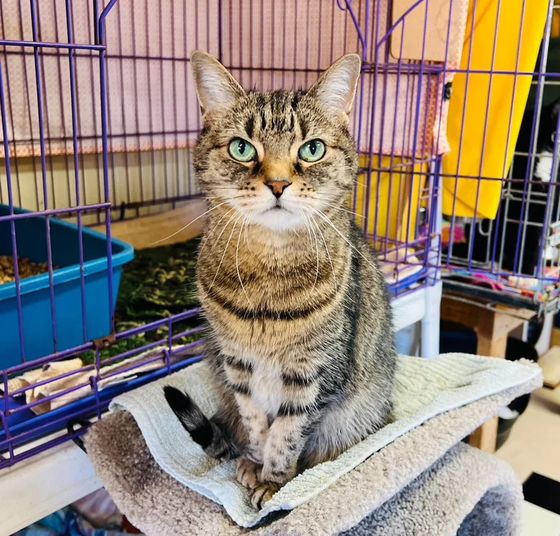 Ms Lucky thumbnail 6