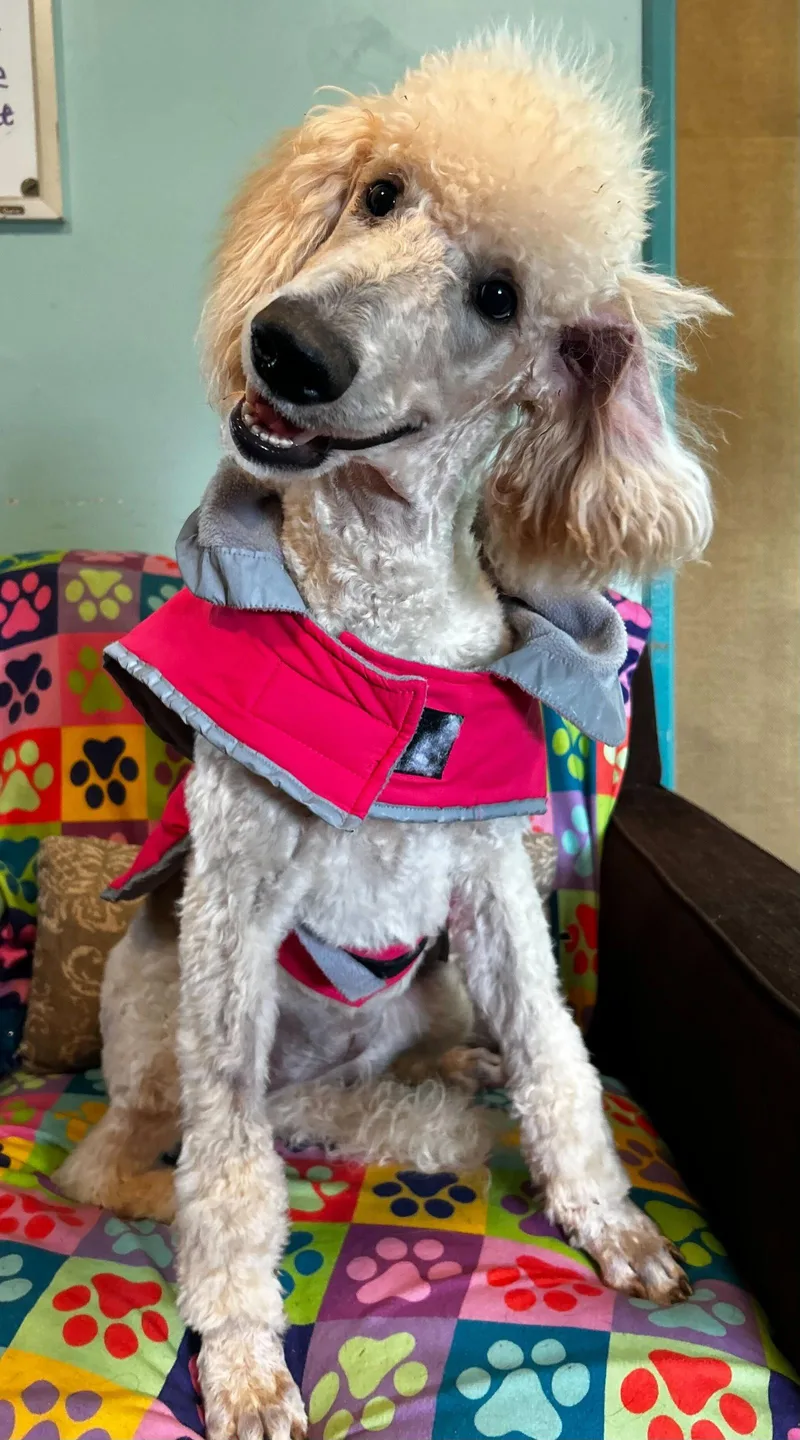 Ginger Mar thumbnail 2