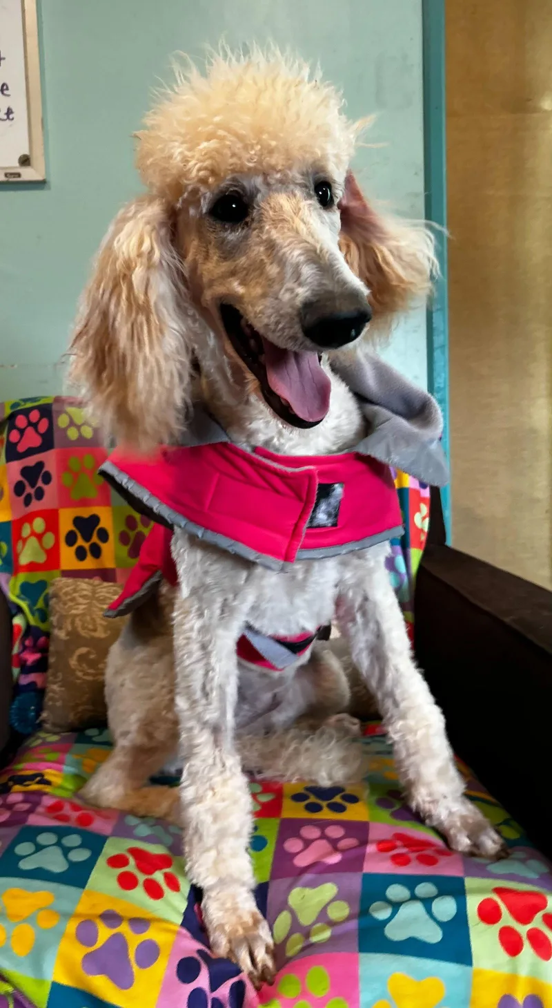 Ginger Mar thumbnail 3