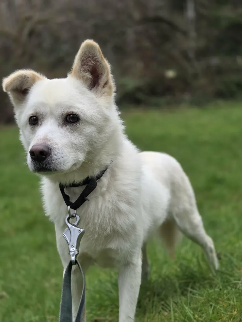 Haedol The Guy Lbs. thumbnail 2