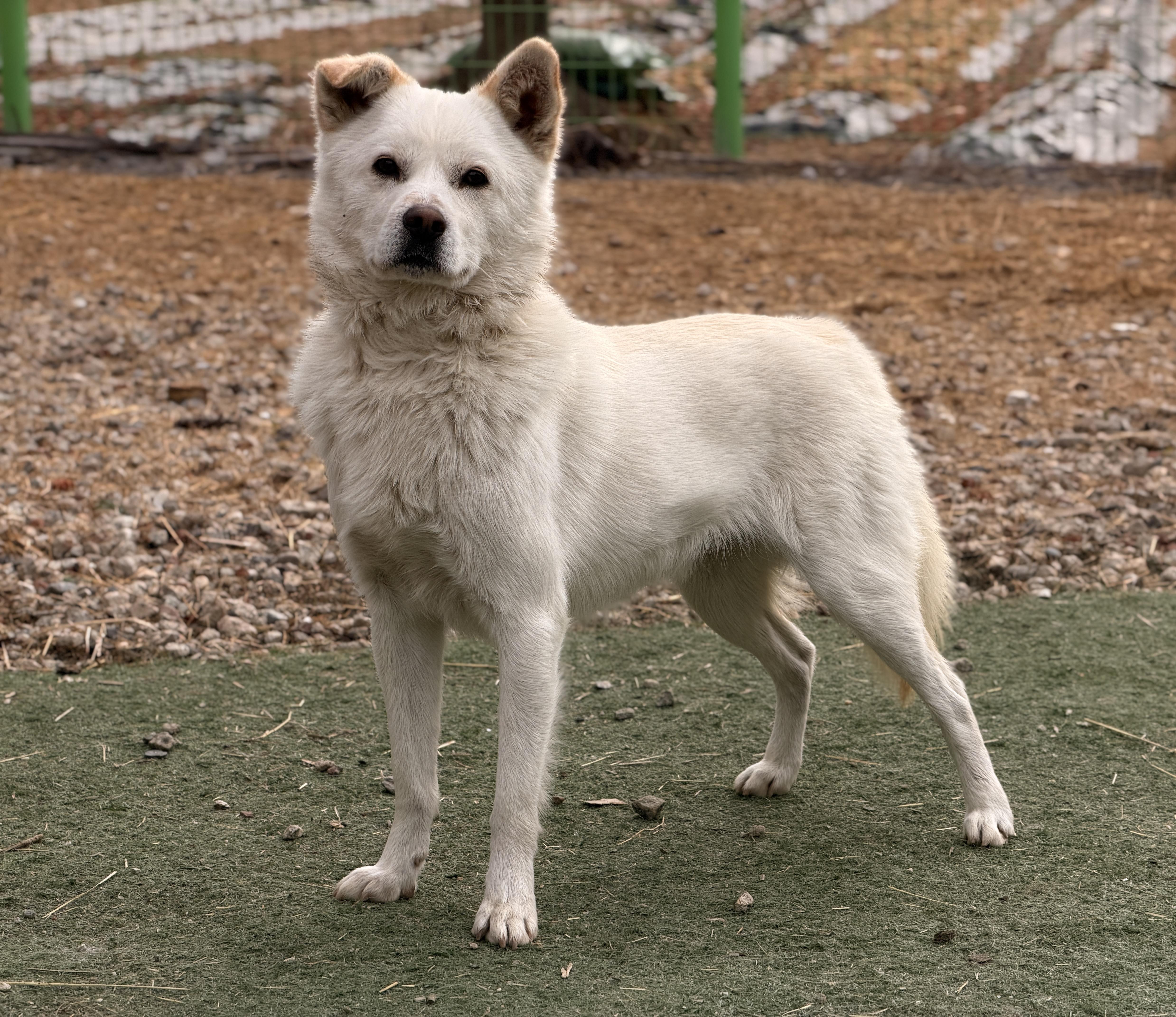 Haedol The Guy Lbs. thumbnail 3