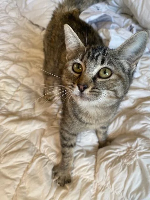 Penelope thumbnail 3