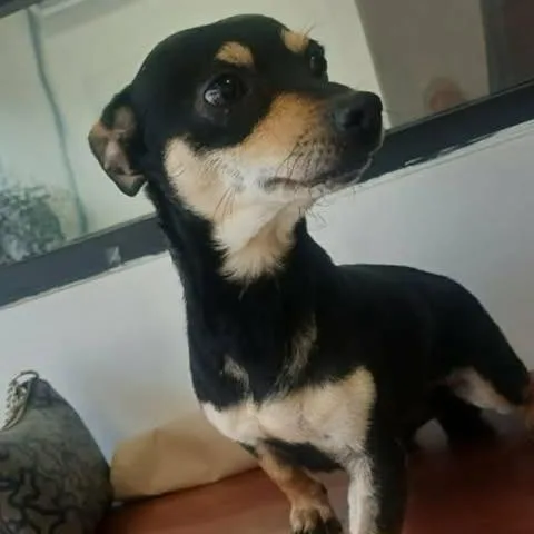 Oscar