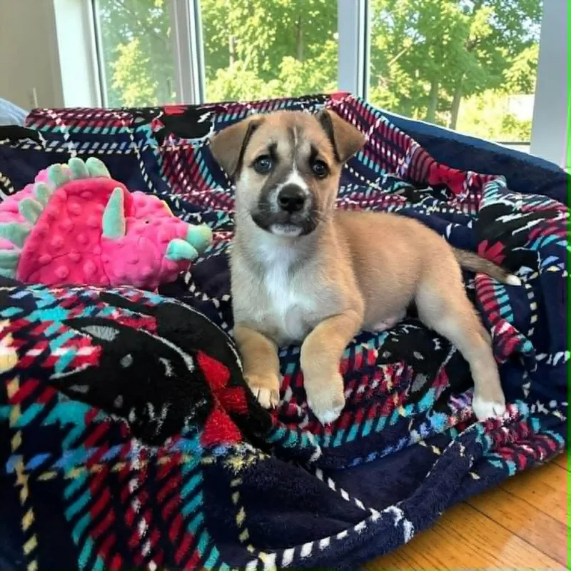 Daisy May thumbnail 2