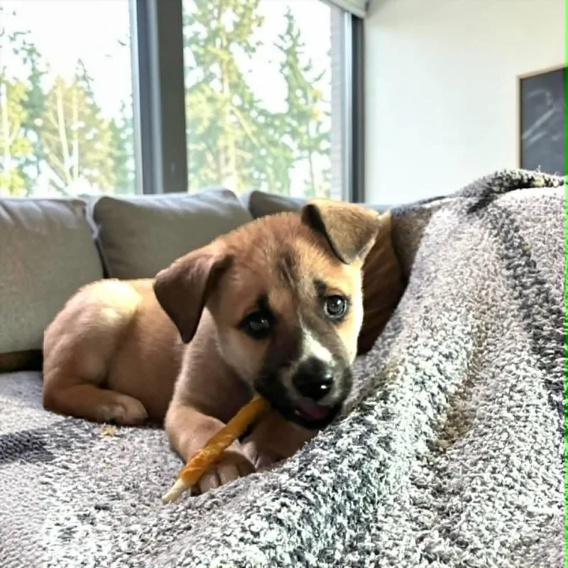 Daisy May thumbnail 4