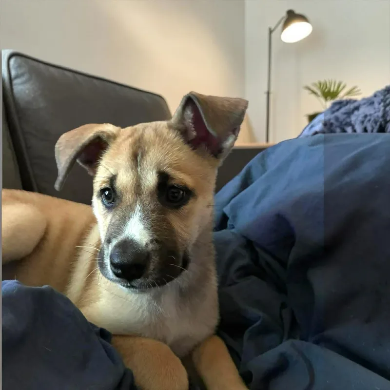 Daisy May thumbnail 5