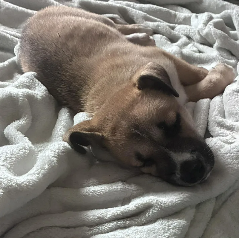 Daisy May thumbnail 6