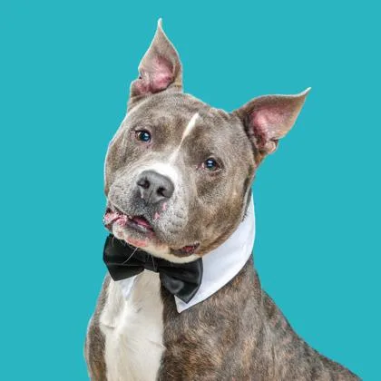 Nipsy Hustle thumbnail 2