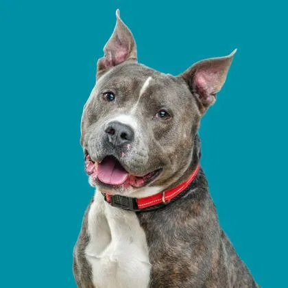 Nipsy Hustle thumbnail 3