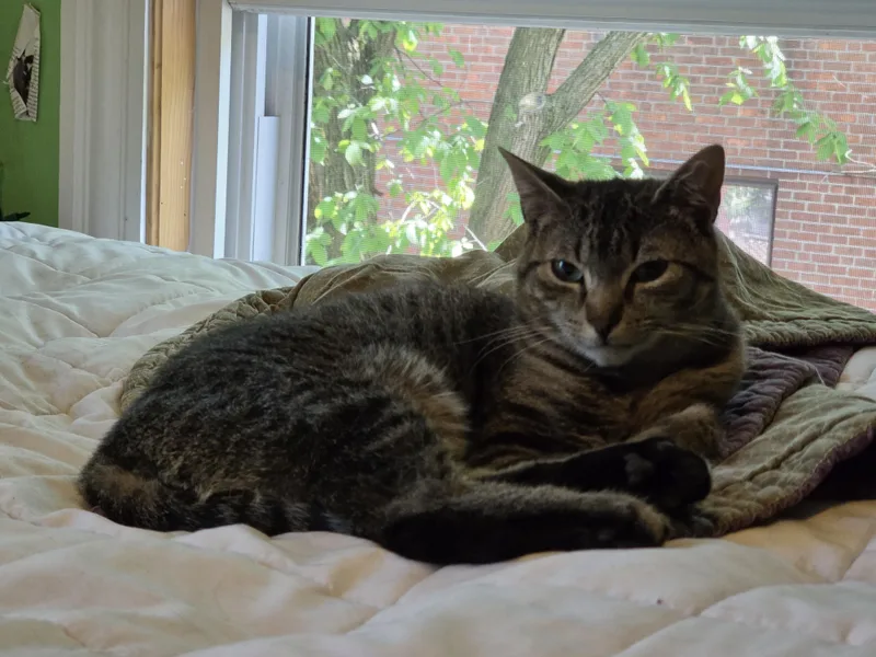 Lucy