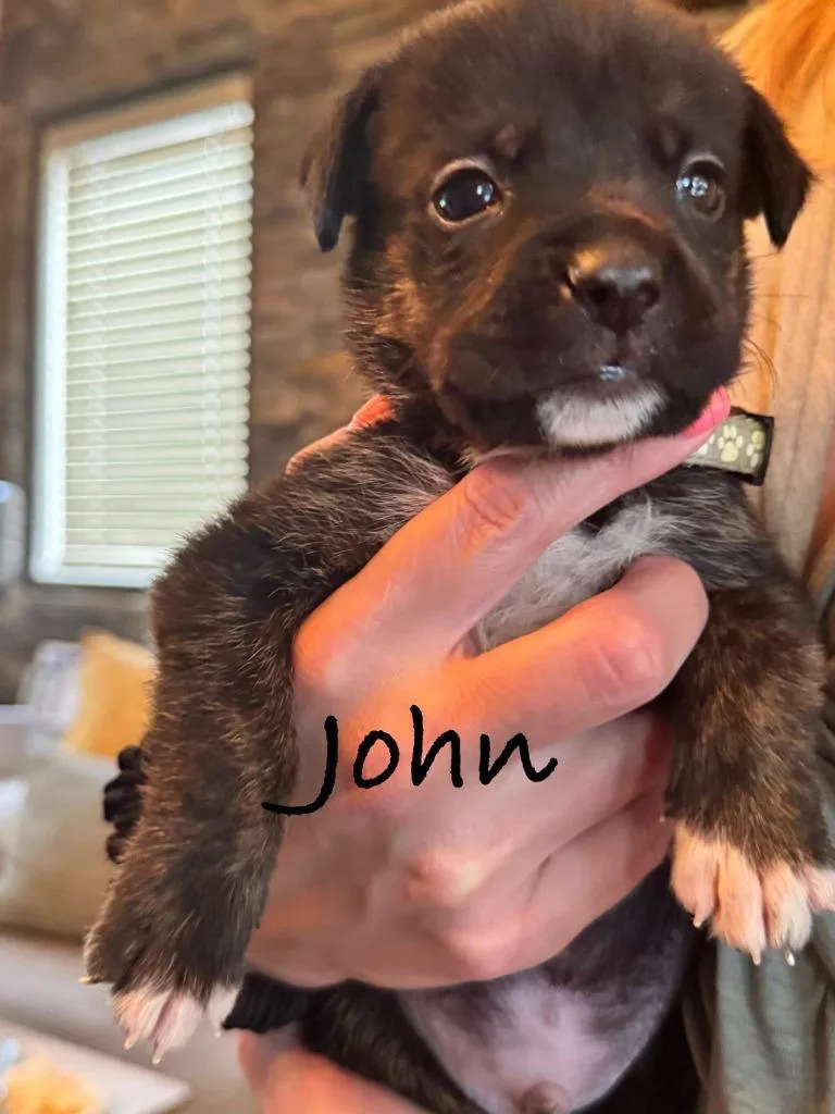 John thumbnail 2