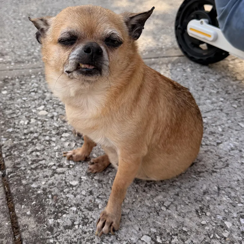 Princess And Bella thumbnail 3