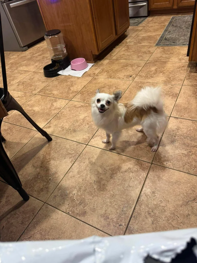 Coco thumbnail 3