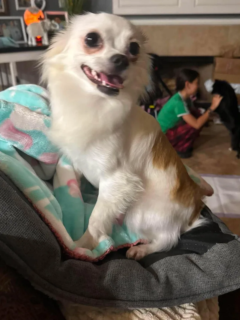 Coco thumbnail 5