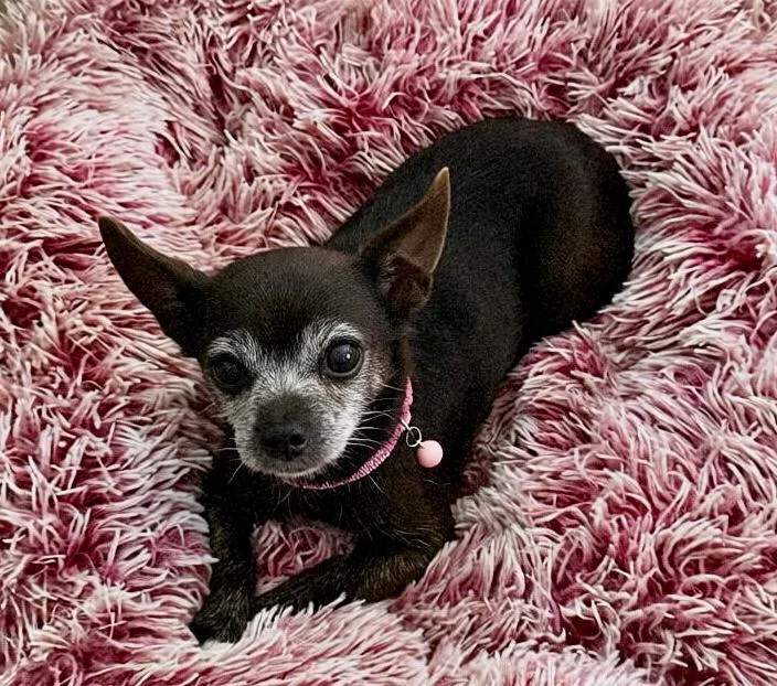 Pepper thumbnail 5