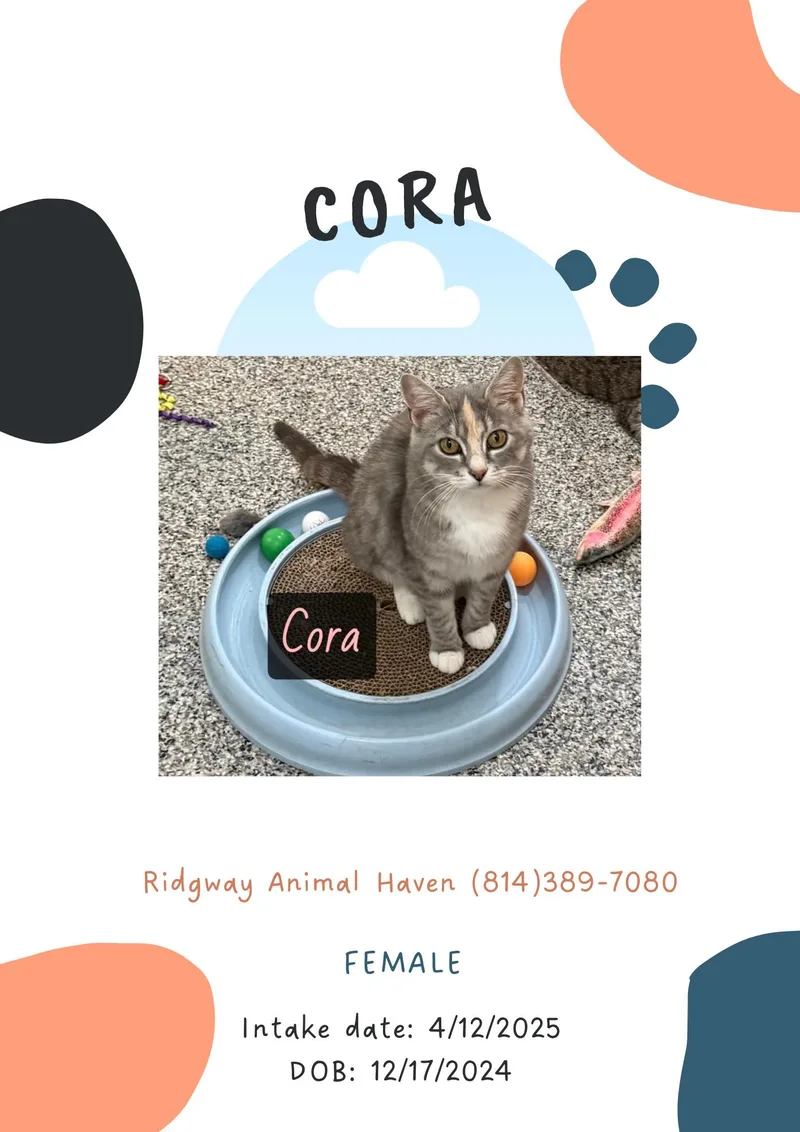 Cora