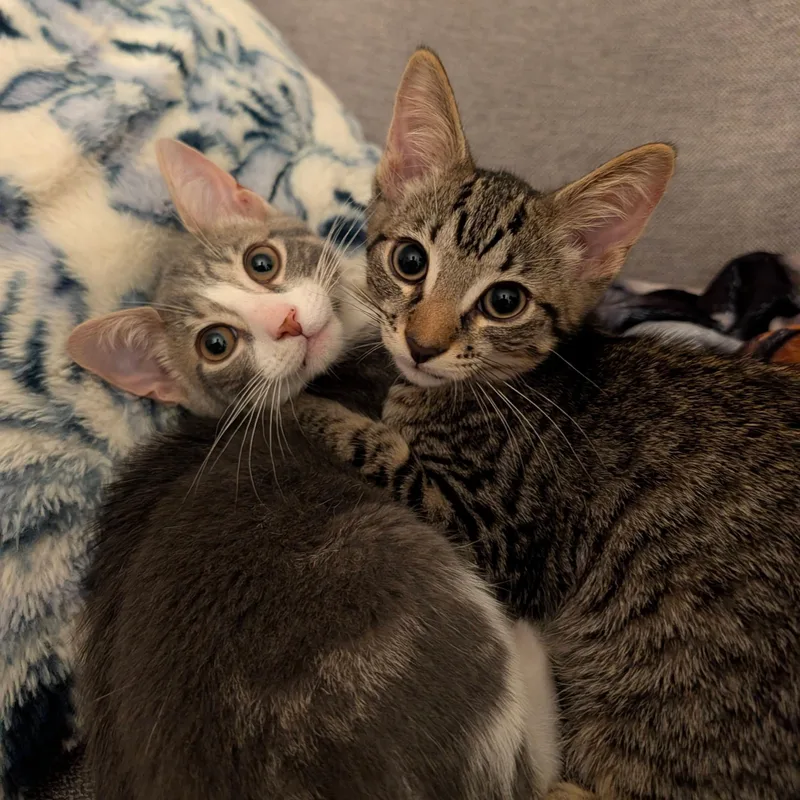 Happy & Parker thumbnail 3
