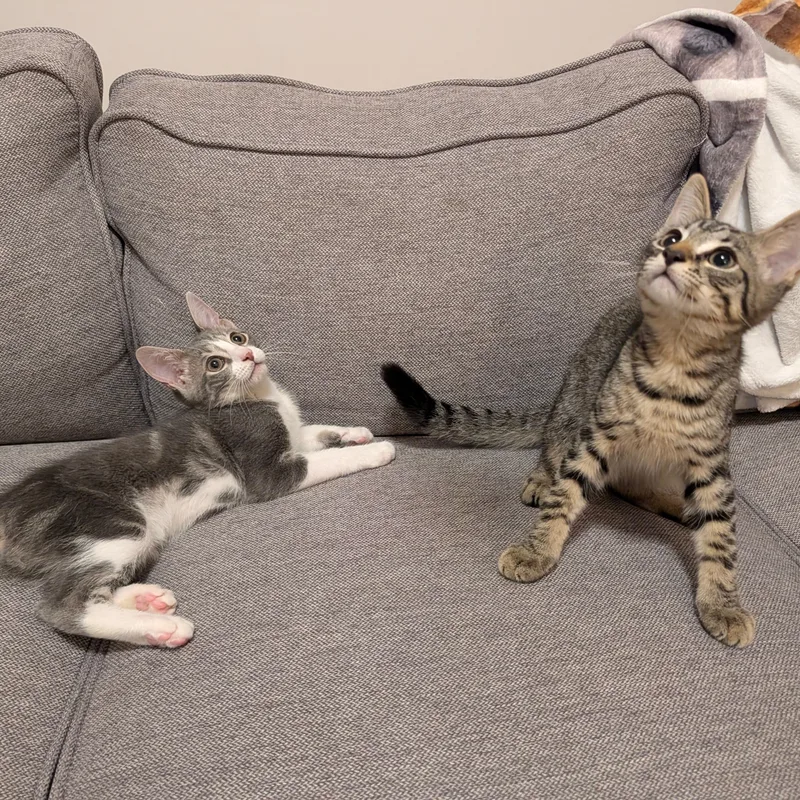 Happy & Parker thumbnail 4