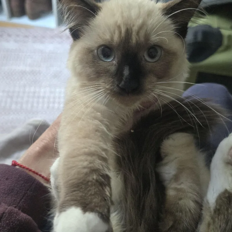 Luna