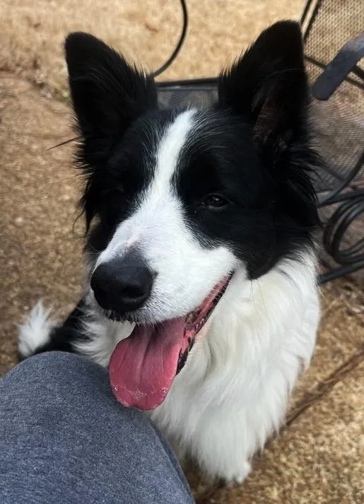 Samantha thumbnail 2