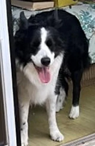 Samantha thumbnail 3