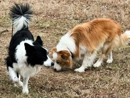 Samantha thumbnail 4