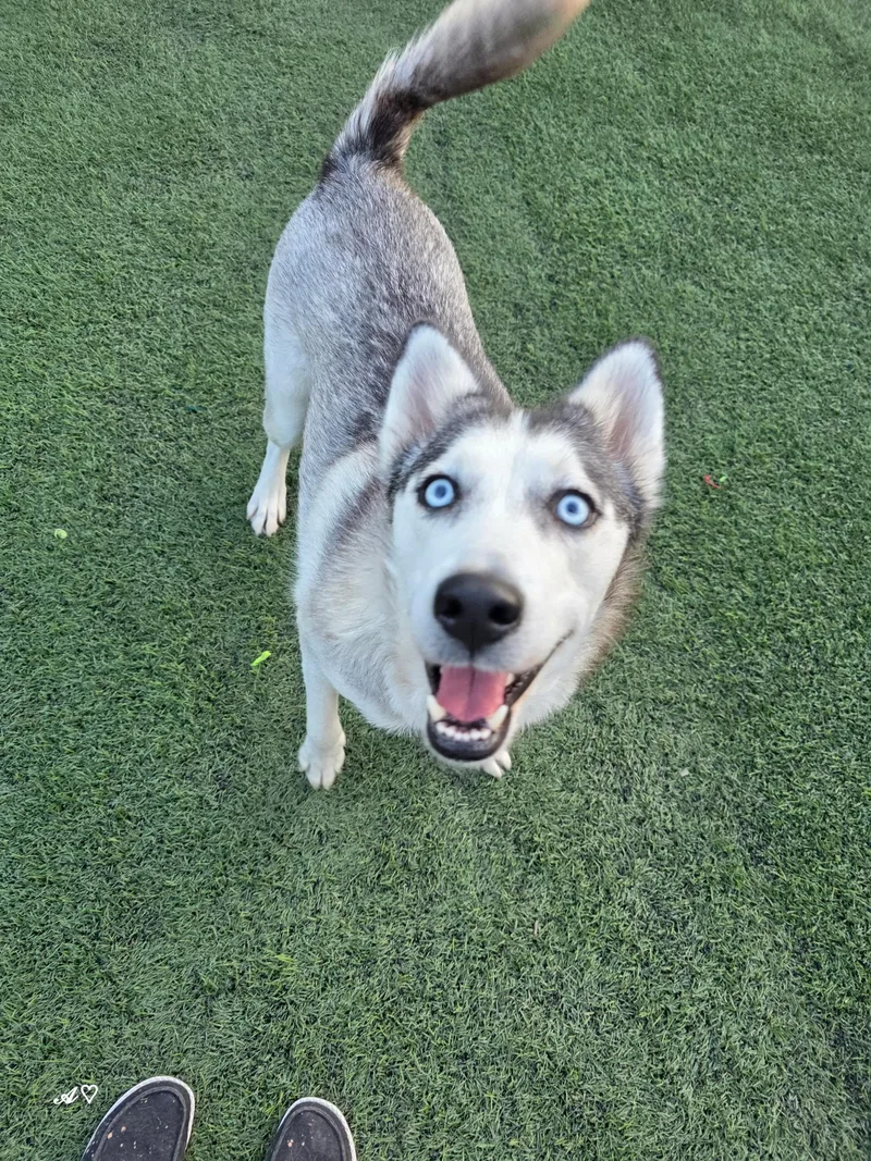 Momma Cinder thumbnail 2