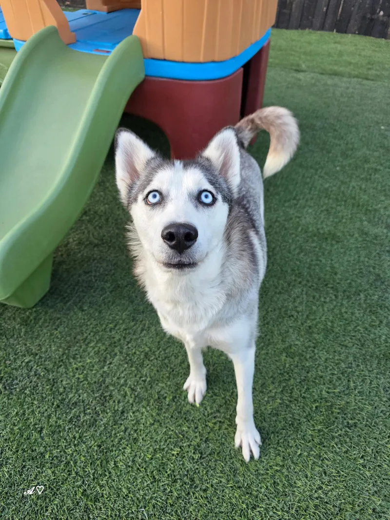 Momma Cinder thumbnail 3