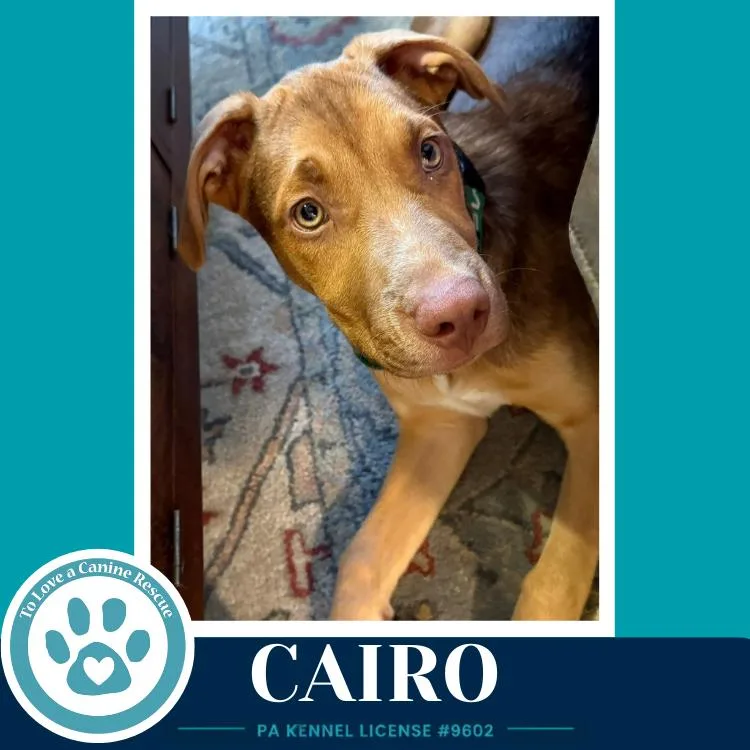 Cairo