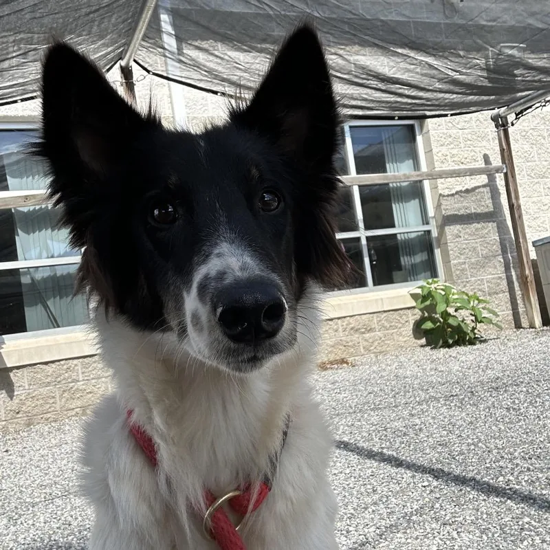 Betty thumbnail 3