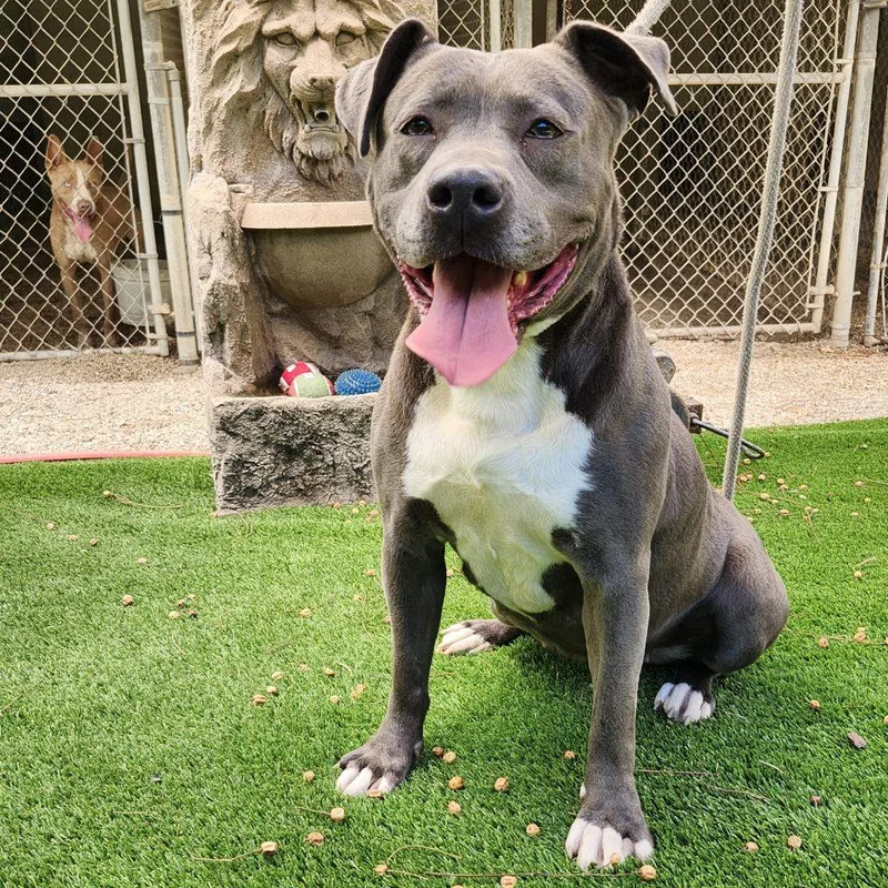 Maggie May thumbnail 5