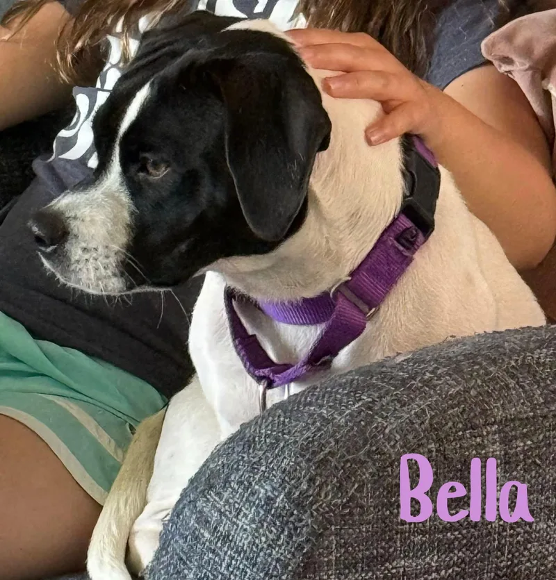 Bella thumbnail 5