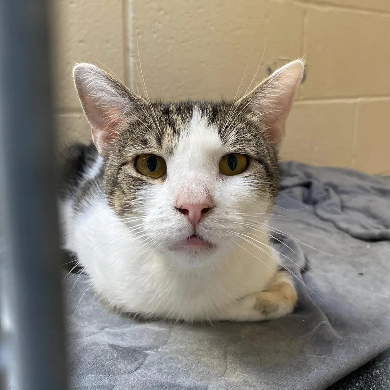 Flashdrive thumbnail 2