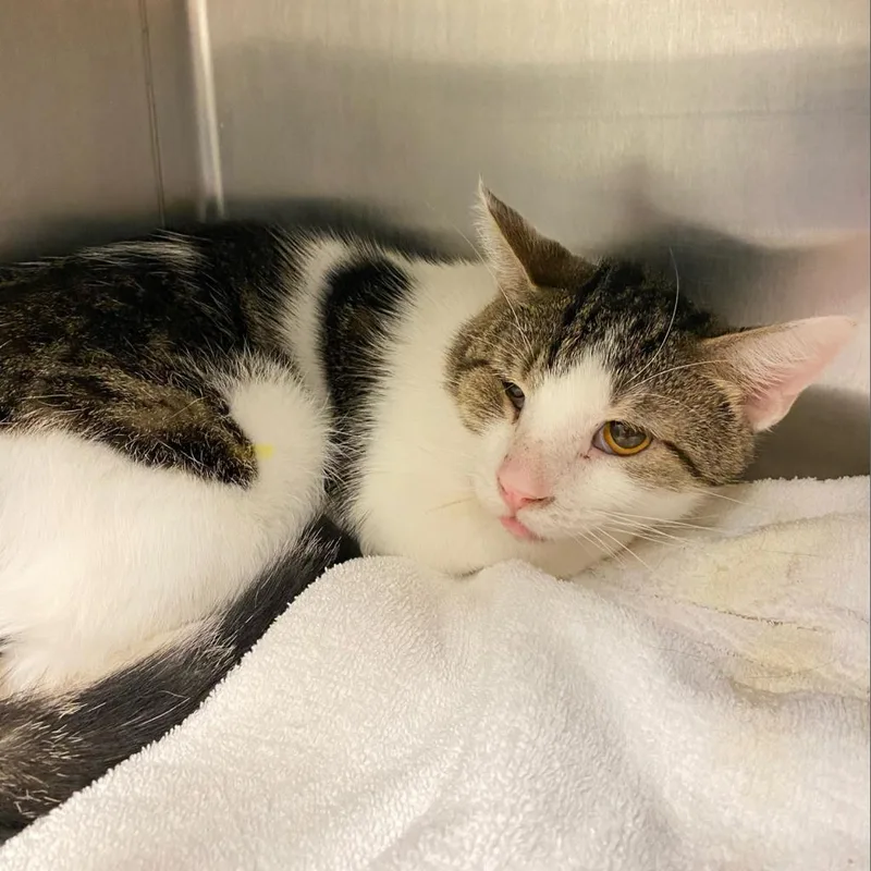 Flashdrive thumbnail 3