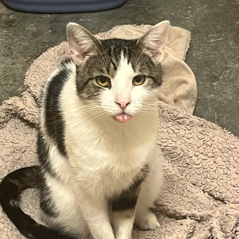 Flashdrive thumbnail 4