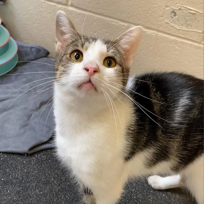 Flashdrive thumbnail 5