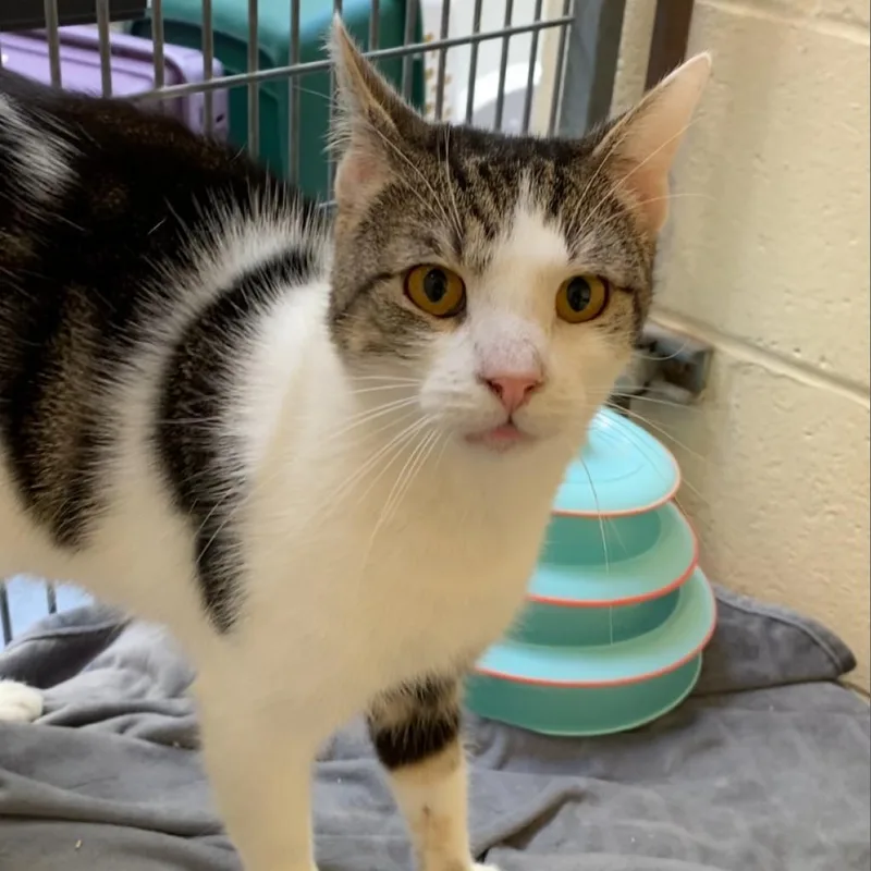 Flashdrive thumbnail 6