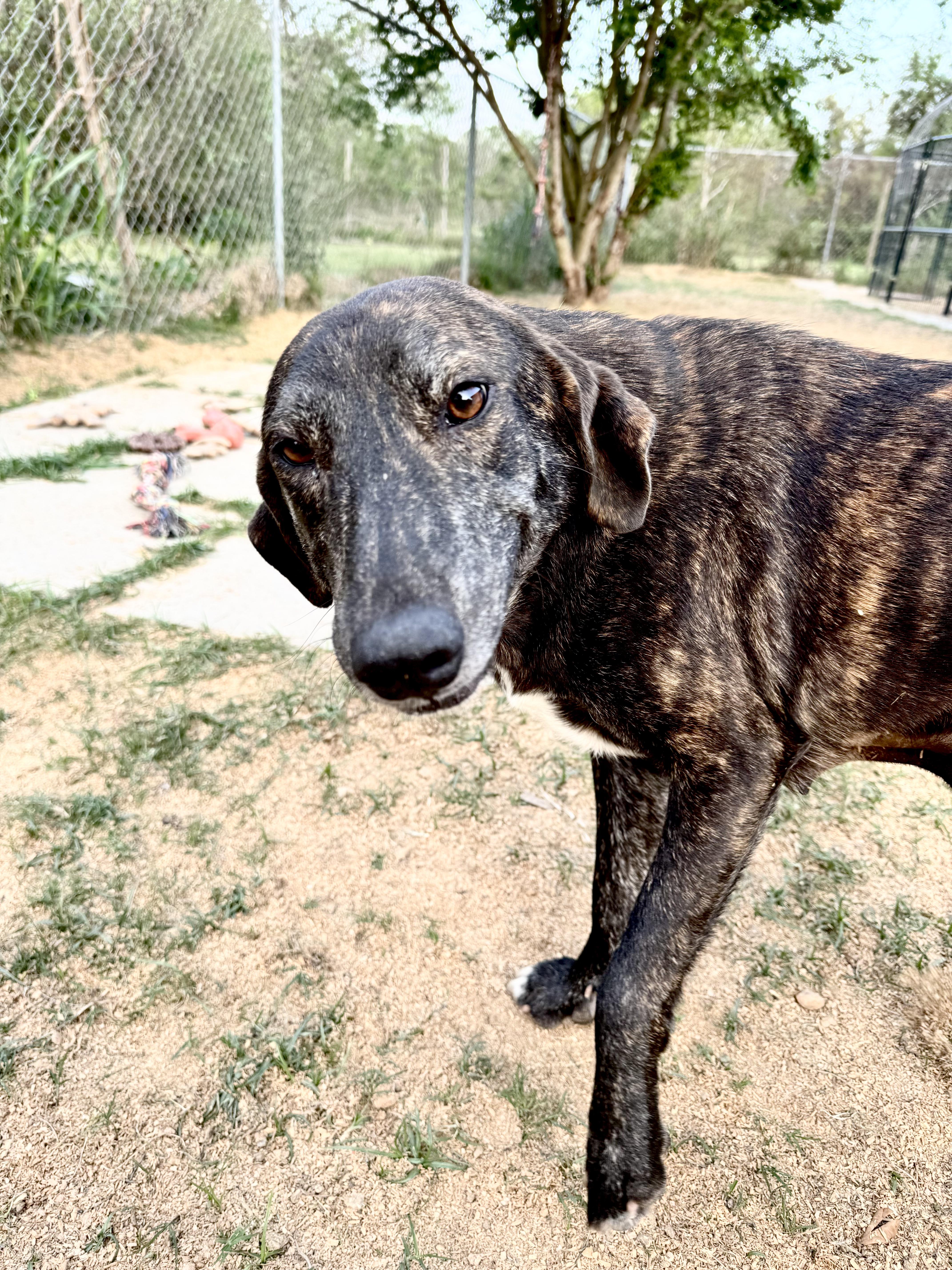 Reba Houston Tx thumbnail 2