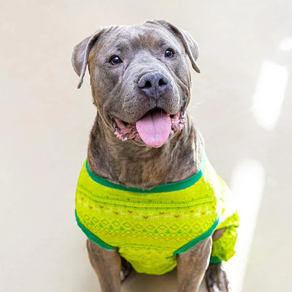 Mike Yagoobian thumbnail 4