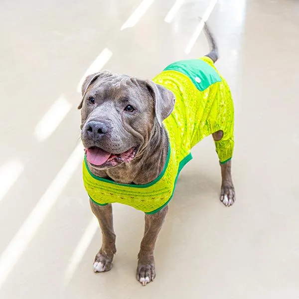 Mike Yagoobian thumbnail 5