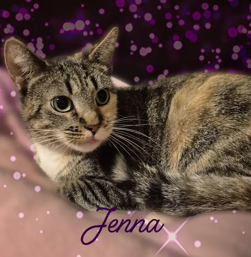 Jenna thumbnail 3