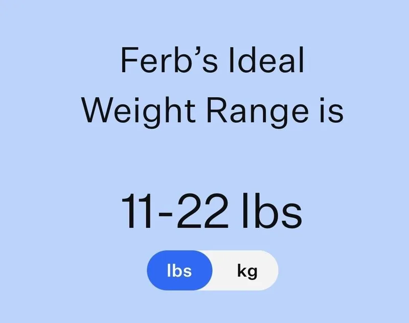 Ferb thumbnail 6