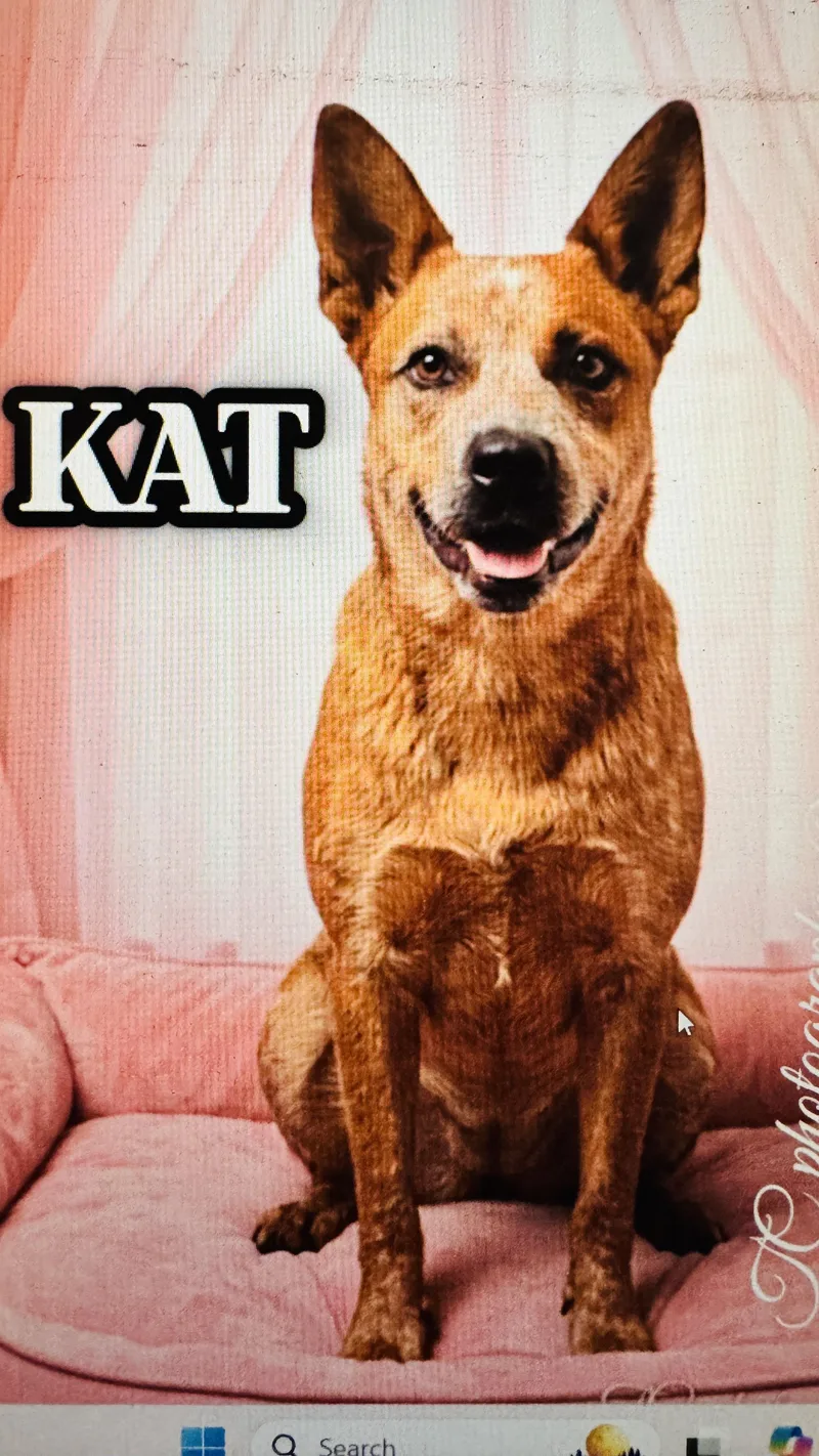 Kat thumbnail 2