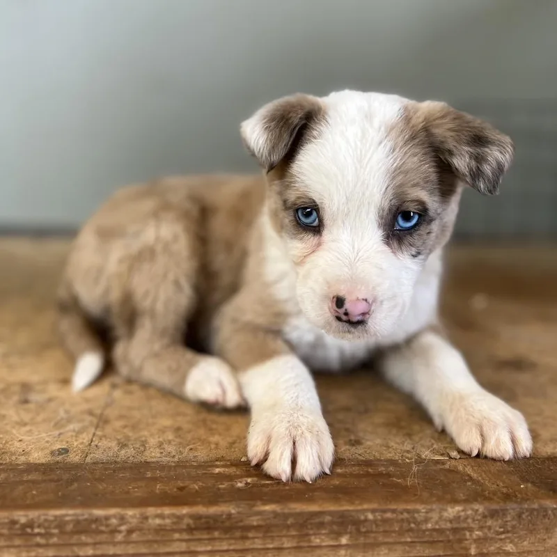 Haymitch thumbnail 2