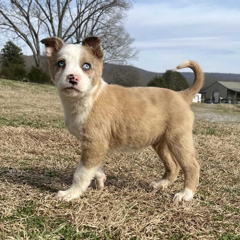 Haymitch thumbnail 3