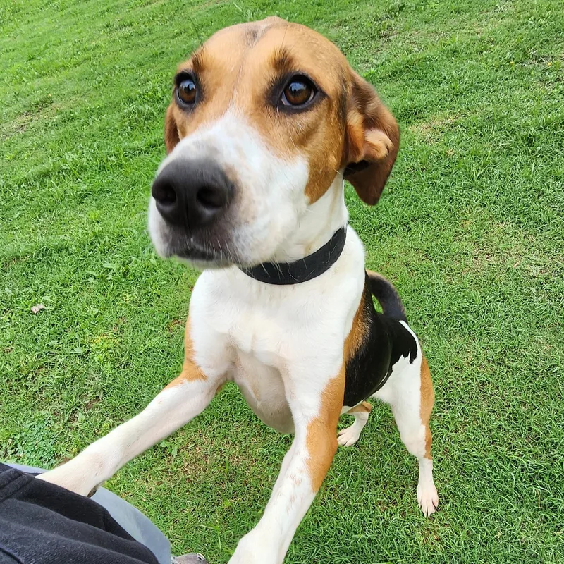 Curly Sue Jones thumbnail 3