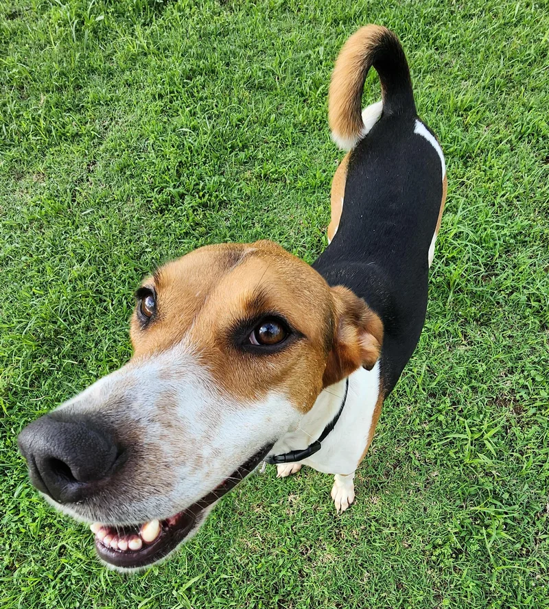 Curly Sue Jones thumbnail 6